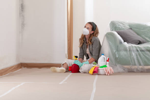 Reliable Basement Mold Remediation contractor in Grandy, NC by WQB Mold Removal